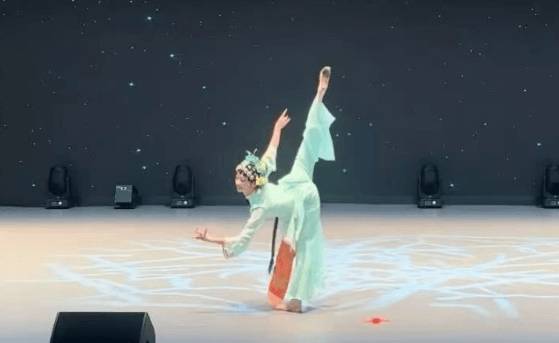 四川师大附中成龙分校 四川师大附中成龙分校