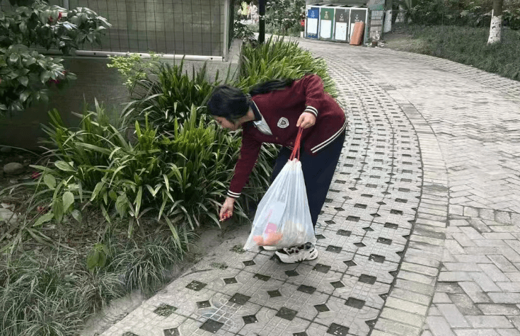 成都市西川汇锦都高级中学