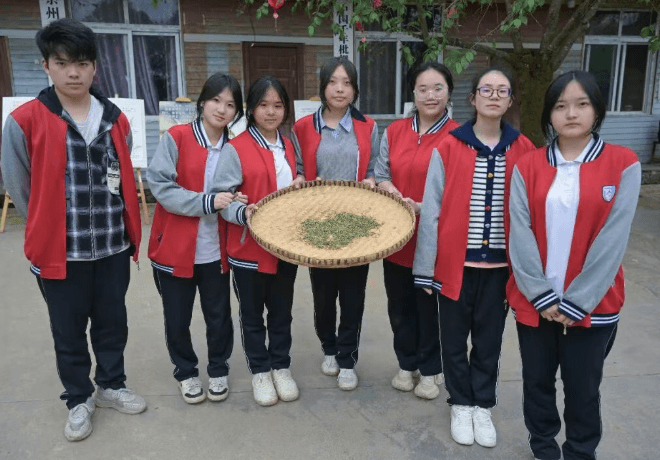 成都市锦江区综合高中