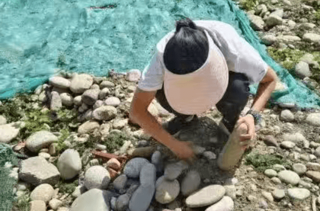 四川省崇州市蜀城中学