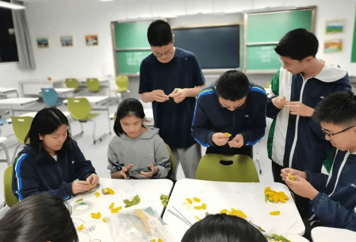 2026年成都天立西区高中学校招生计划是什么_招生对象