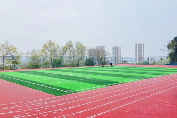 武侯区育英学校招生条件