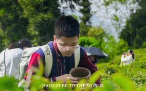2026年北外东坡高中部录取分数是多少_招生对象