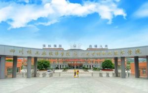 2024年成都市新津区成外学校学校简介_办学思路是什么