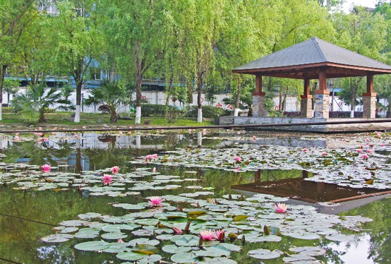 四川五月花技师学院湖景 四川五月花技师学院湖景