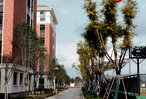 德阳市博雅明德高级中学校园一角 德阳市博雅明德高级中学校园一角