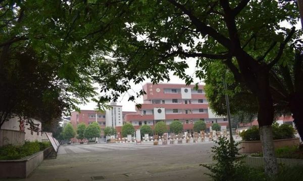 蒲江寿安中学录取分数线 蒲江寿安中学录取分数线