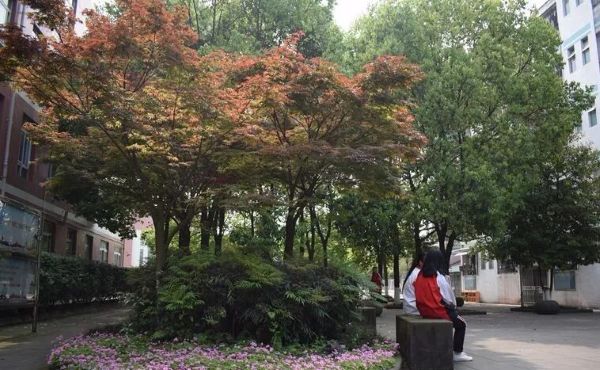 蒲江寿安中学 蒲江寿安中学