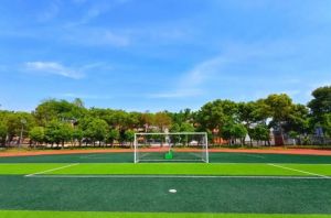 2024年成都市新津区成外学校学校简介_办学思路是什么