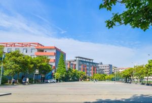 2024年成都市新津区成外学校学校简介_办学思路是什么