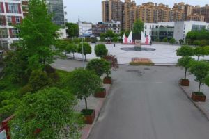 2024年成都市新津区成外学校学校简介_办学思路是什么