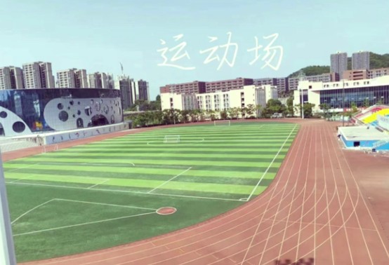 天府新区信息职业学院运动场
