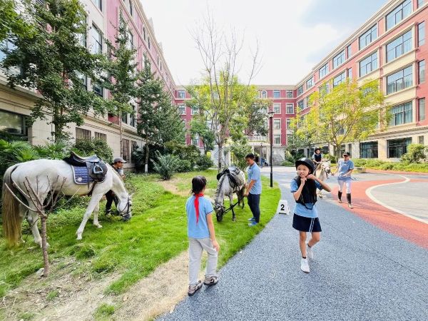 新津成外学校怎么样