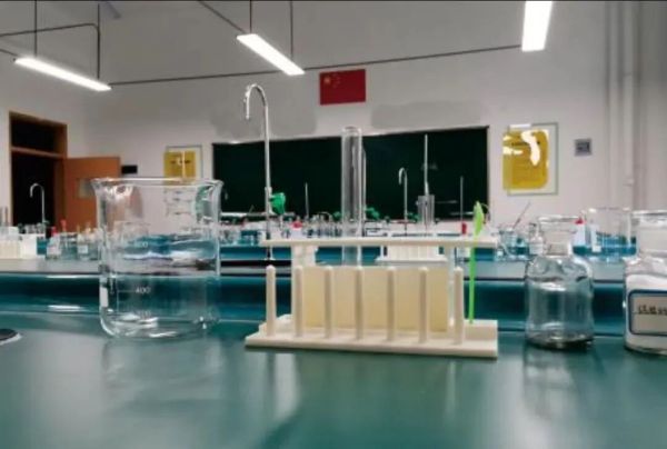 成都盐外芙蓉学校招生 成都盐外芙蓉学校招生