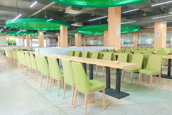 北外附属东坡外国语学校 北外附属东坡外国语学校