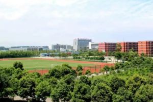2024年成都市新津区成外学校学校简介_办学思路是什么